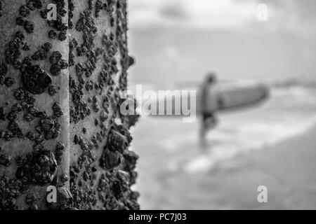 Person zu Fuß am Strand mit Surfbrett, Schwarz und Weiß. Stockfoto