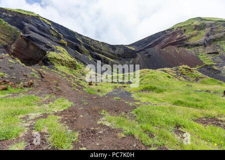 Kleine Krater stürzte in die Insel Pico, Azoren, Portugal Stockfoto