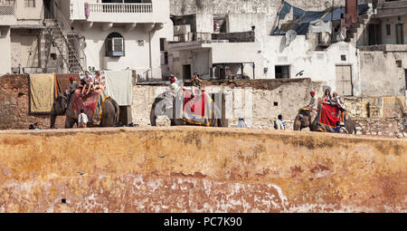 Drei Elefanten, die Touristen bis zu Amber Palast/Amer Fort Stockfoto