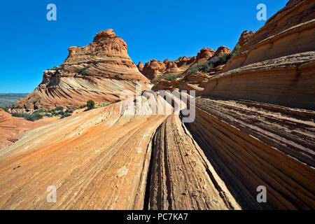 AZ 00194-00 ... ARIZONA - Die Schichten- und Sandstein Felsformationen in den Coyote Buttes, südlichen Abschnitt des Paria Canyon - Vermilion Cliffs Wilderness Area. Stockfoto