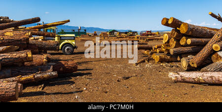 TAOS, NM, USA-11 Juli 18: Olguin, Sägewerk, in El Prado, außerhalb von Taos. Stockfoto