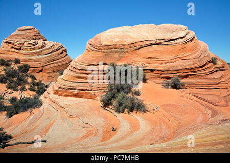 AZ 00209-00 ... ARIZONA - Die bunten Schichten und und Texturen in den Sandstein im südlichen Abschnitt der Coyote Buttes, Teil des Paria Canyon - Ver Stockfoto