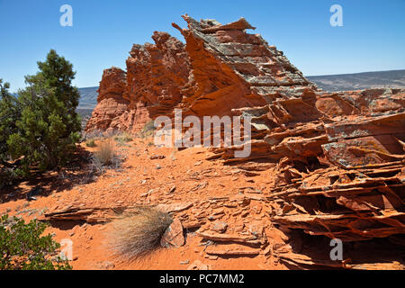 AZ 00212-00 ... ARIZONA - Verdichtung Schichten Harden bleiben nach den Hauptteil der Sandstein Kante abgefressen hat, am Kamm der Grat entfernt und abgedeckt Stockfoto