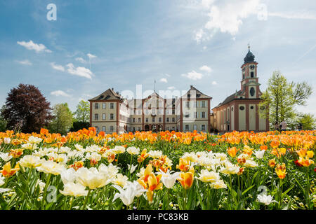 Mainau Schloss und Schlosskirche, und blühenden Tulpen, Insel Mainau, Bodensee, Baden-Württemberg, Deutschland Stockfoto