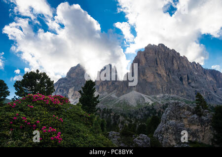 Langkofel und Plattkofel Berge, Italien. Foto von einem Wanderweg in Dolomiten, Dolomiti, Sella Alto Adige, Südtirol Stockfoto