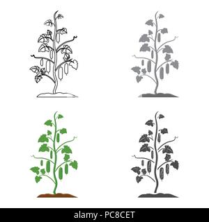 Gurke Symbol Cartoon. Einzelne pflanze Symbol aus dem großen Bauernhof, Garten, Landwirtschaft Cartoon. Stock Vektor