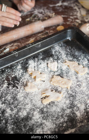 7/8 Schuß von Frau Vorbereitung verschiedene Weihnachtsplätzchen Stockfoto