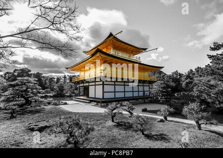 Color-Key Bild der Kinkaku-ji Tempel (金閣寺, Tempel des Goldenen Pavillon) in Kyoto im Winter 2017. Stockfoto