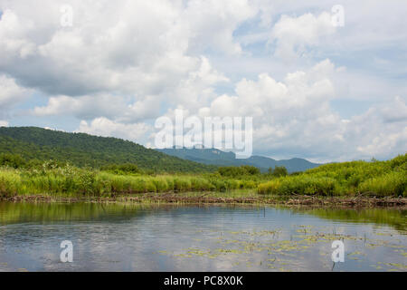 Ein Biber Damm auf den Miami River in den Adirondack Mountains mit Blick auf die schneebedeckten Berge in der Ferne. Stockfoto