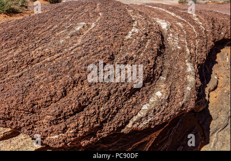 Sandstein Sphärolithe im Horseshoe Bend, Glen Canyon National Recreation Area, Page, Arizona Stockfoto