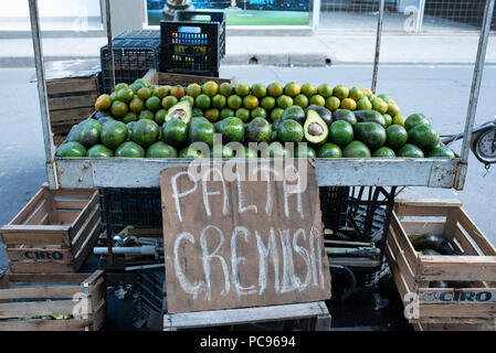 Marktstand verkaufen "cremig Avocado'. Salta, Argentinien, Südamerika. Mai 2018 Stockfoto
