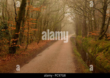 Ein Feldweg auf Feuer Leuchtfeuer in Devon, Großbritannien Stockfoto