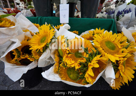 Sonnenblumen auf dem Bauernmarkt in Union Square, New York City Stockfoto