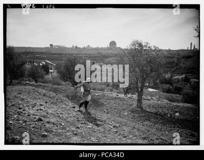 Landwirtschaft usw. Aussaat von Getreide. "Siehe, der Sämann ging aus zu säen' Stockfoto