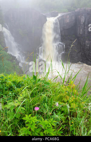 Hoch fällt der Pigeon River, Morgen, Grand Portage SP, Cook County, Sommer, MN, USA, von Dominique Braud/Dembinsky Foto Assoc Stockfoto