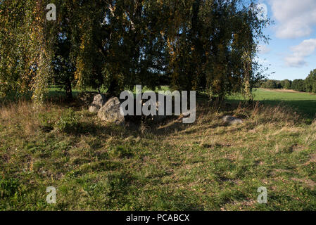 5500 Jahre alte Großsteingräber große Dolmen in der Nähe von Lancken-Granitz im Südosten der Insel Rügen in der Ostsee, im Nordosten Deutschlands. Stockfoto