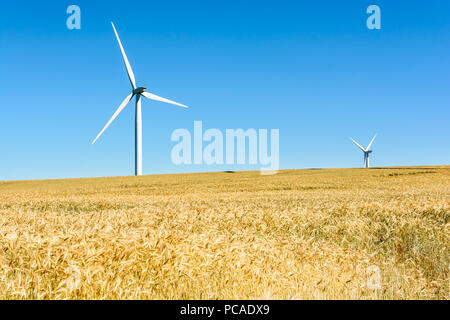 Zwei Windkraftanlagen über ein Feld von reifem Weizen hervorstehende unter einem tiefblauen Himmel in der französischen Landschaft mit goldenen Ähren im Vordergrund. Stockfoto