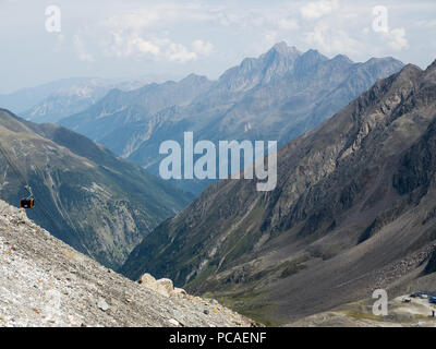 Blick von der Stubaier Gletscher (Stubaier Gletscher) in den österreichischen Alpen Stubaital (Stubaital), Tirol, Österreich, Europa Stockfoto