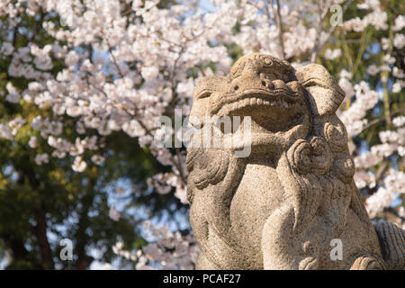 Cherry Blossom und Lion Statue an ikuta Jinja Schrein, Kobe, Kansai, Japan, Asien Stockfoto