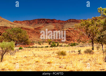 Finke Gorge National Park in der Nähe von hermannsburg in Northern Territiory Sab westlich von Alice Springs, Australien Stockfoto