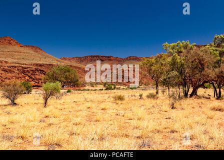 Finke Gorge National Park in der Nähe von hermannsburg in Northern Territiory Sab westlich von Alice Springs, Australien Stockfoto