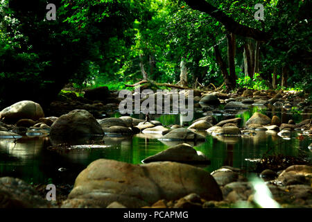 Chinnar Wild Life Sanctuary, Kerala Stockfoto