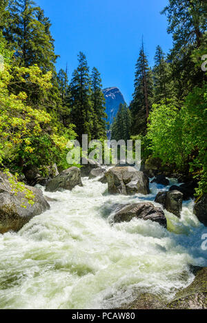 Merced River Landschaft in Yosemite National Park. Wildwasser Stromschnellen. Kalifornien, USA. Stockfoto