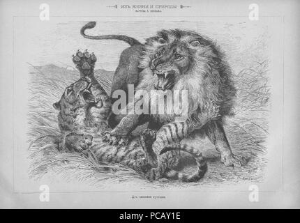 12 Живописное обозрение 1885, № 01-26 (6 янв. - 30 июня); № 27-52 (7 Июля - 29 дек.) Seite 639 Stockfoto