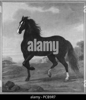 53 Karl Beschriftung livhäst Pegasus (David Klöcker Ehrenstrahl) - Nationalmuseum - 14796 Stockfoto