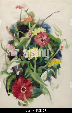 662 Zinnien - eine doppelseitige Arbeiten Stockfoto