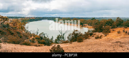 Großes Panorama des Murray River und Eukalyptusbäumen. Berri, South Australia Stockfoto