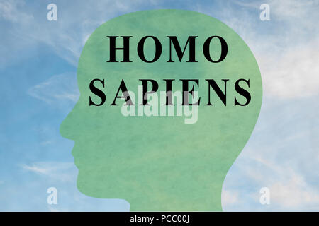 Render Abbildung des Homo sapiens Titel auf dem Kopf silhouette, mit bewölktem Himmel als Hintergrund. Stockfoto