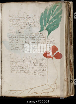62 Voynich Manuskript (83) Stockfoto