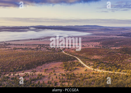 Schmutz der Straße schlängelt sich durch Hügel und Bäume in Flinders Ranges, South Australia am frühen Morgen Stockfoto