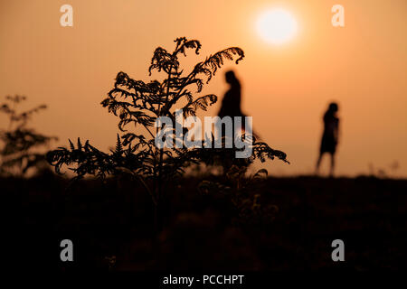 Frauen Silhouette, Mutter und Mädchen Stockfoto