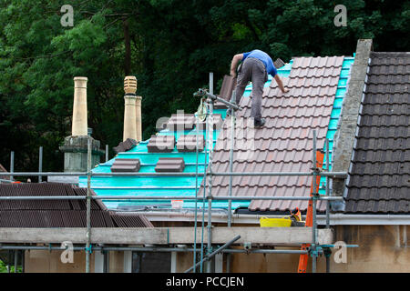 Bauarbeiter zur Festlegung neuer Dachziegel Stockfoto