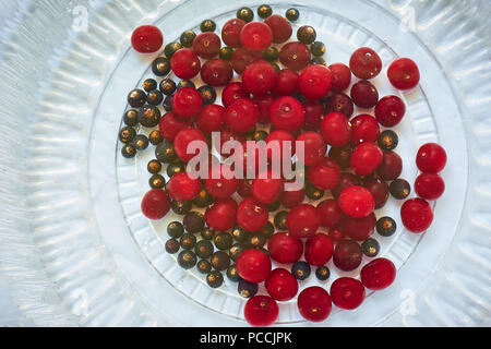 Reife Brombeeren, Johannisbeeren, Kirschen, Johannisbeeren, Himbeeren und Stachelbeeren. Mix Beeren und Früchten. Ansicht von oben. Hintergrund Beeren und Früchten. Verschiedene frische Sommer Früchte. Stockfoto