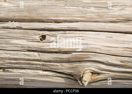 Close-up verwitterten silbrig zeder schnittholz Holz Hintergrundbild Stockfoto