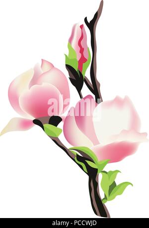 Filiale der Magnolia, Vector Illustration Stock Vektor
