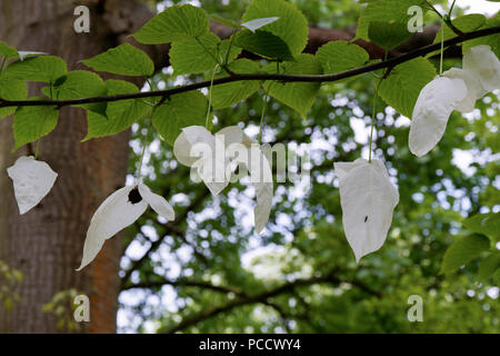 Taschentuch Baum Blume Stockfoto