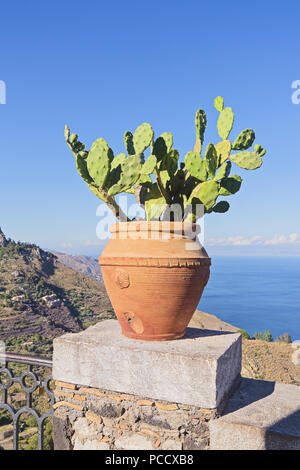 Topfpflanze von Opuntia gegen einen herrlichen Sommer Blick auf Italien Landschaft. Reisen nach Sizilien - Italien Konzept Stockfoto