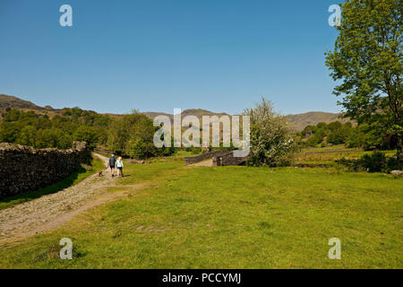 Touristen Besucher Wanderer auf dem Weg zum Easedale Tarn im Sommer in der Nähe von Grasmere Cumbria England Großbritannien GB Großbritannien Stockfoto