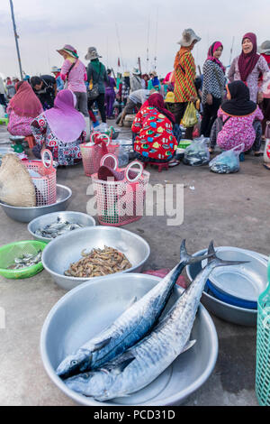 Morgen Fischmarkt am Ufer des Flusses Chhu Preaek Tuek Kampot Stadt, Kambodscha, Indochina, Südostasien, Asien Stockfoto