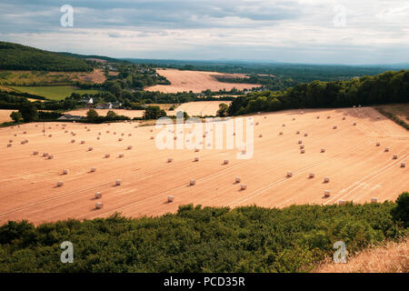 Heu rollt Feld in Irland Stockfoto