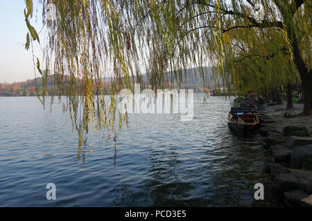 Zweige der Trauerweide wächst an der Küste von West Lake. Beliebte Park von Hangzhou China Stockfoto