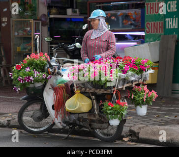 Eine Frau, Töpfe von petunien von einem Fahrrad in Hoang Hoa Tham Street in Hanoi, Vietnam, Indochina, Südostasien, Asien Stockfoto