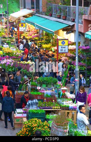 Das chinesische Neujahr Blumenmarkt, Hongkong, China, Asien Stockfoto