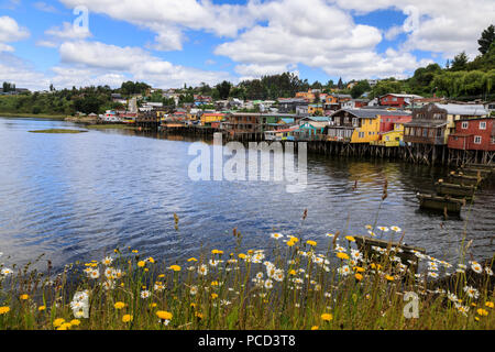 Palafitos, bunte Stelzenhäuser auf Water's Edge, einzigartige zu Chiloe, mit wilden Blumen, Castro, Isla Grande de Chiloe, Chile, Südamerika Stockfoto