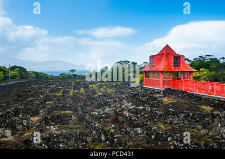 Red Gehweg in die Weinberge im Weinmuseum von Pico, UNESCO-Weltkulturerbe, Insel Pico, Azoren, Portugal, Atlantik, Europa Stockfoto