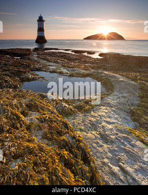 Leuchtturm am Penmon Punkt bei Sonnenaufgang, Anglesey, Nordwales, mit Puffin Insel im Hintergrund Stockfoto